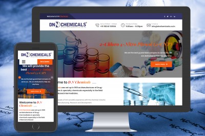 Z Web Solutions D N Chemicals